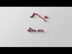 Suede Cleaner HY-353